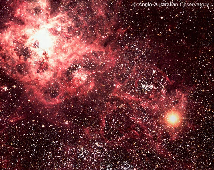 Image of the Large Magellanic Cloud from the Anglo-Australian Observatory showing the Tarantula Nebula (upper left of the image) and the type II supernova called Supernova 1987a (lower right of the image).